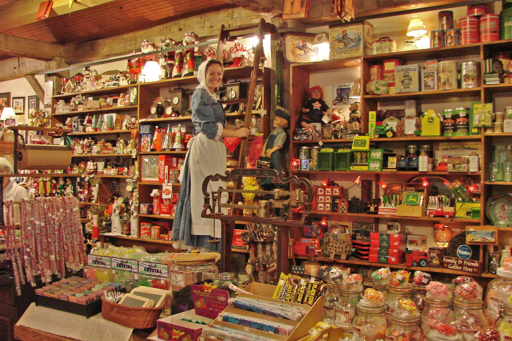 Woman on Shelf Ladder